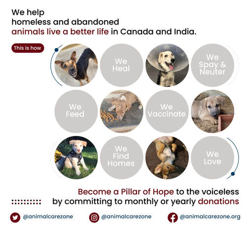 Donate - Animal Care Zone - Registered Charitable Organization